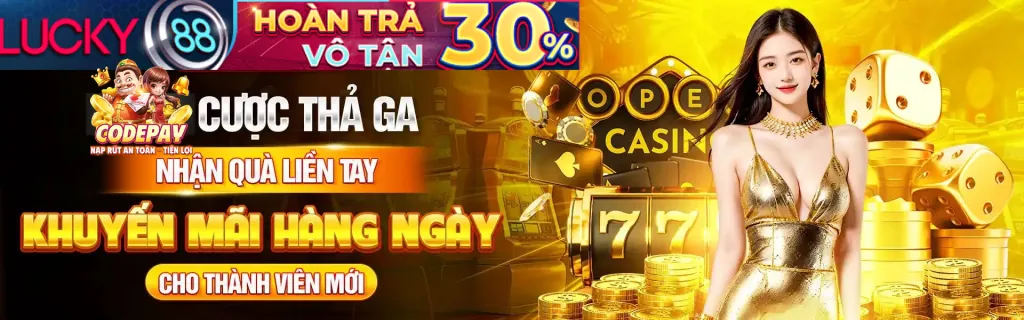 Hình ảnh chương trình VIP
