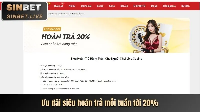 Hình ảnh hoàn trả